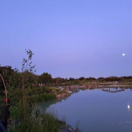 Pond Oak *