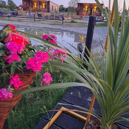 Pond Oak * Harristown